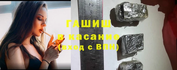 индика Медногорск