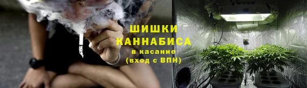 индика Медногорск