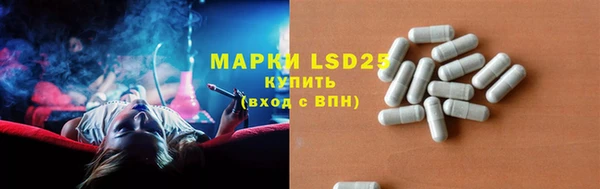 индика Медногорск