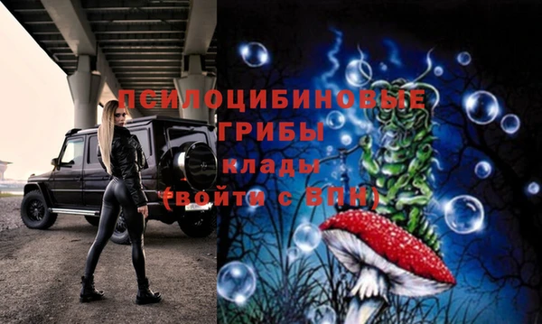 бошки Медвежьегорск