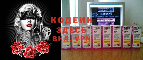 индика Медногорск