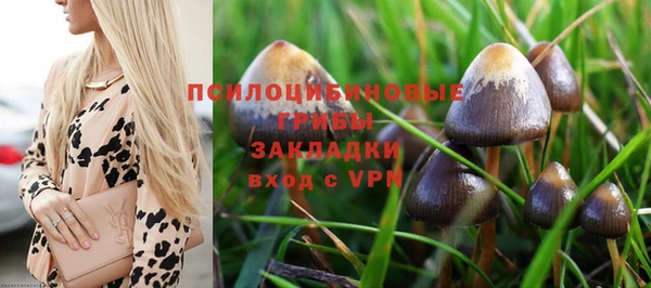бошки Медвежьегорск