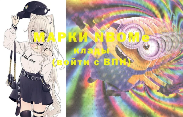 индика Медногорск