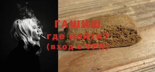 индика Медногорск