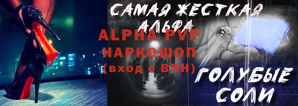 индика Медногорск