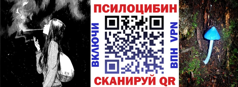 купить наркотик  Ростов-на-Дону  Псилоцибиновые грибы мицелий 