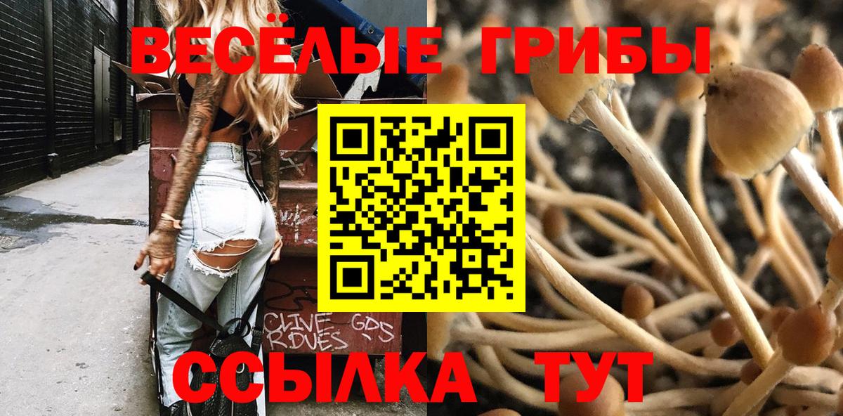 Галлюциногенные грибы GOLDEN TEACHER Ростов-на-Дону