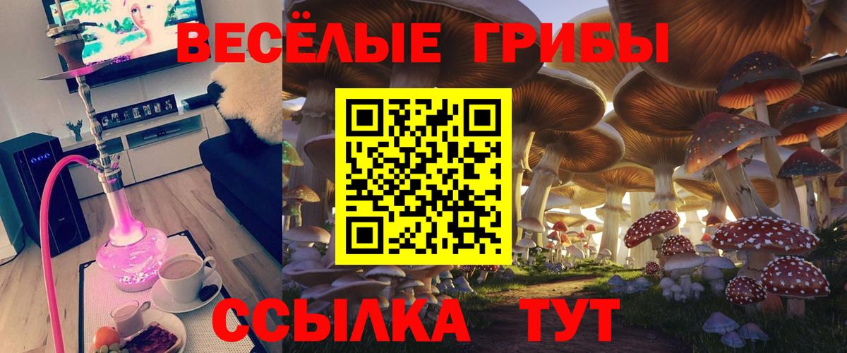 наркошоп  Псилоцибиновые грибы GOLDEN TEACHER  Вход с VPN  Галлюциногенные грибы Psilocybe  Ростов-на-Дону 